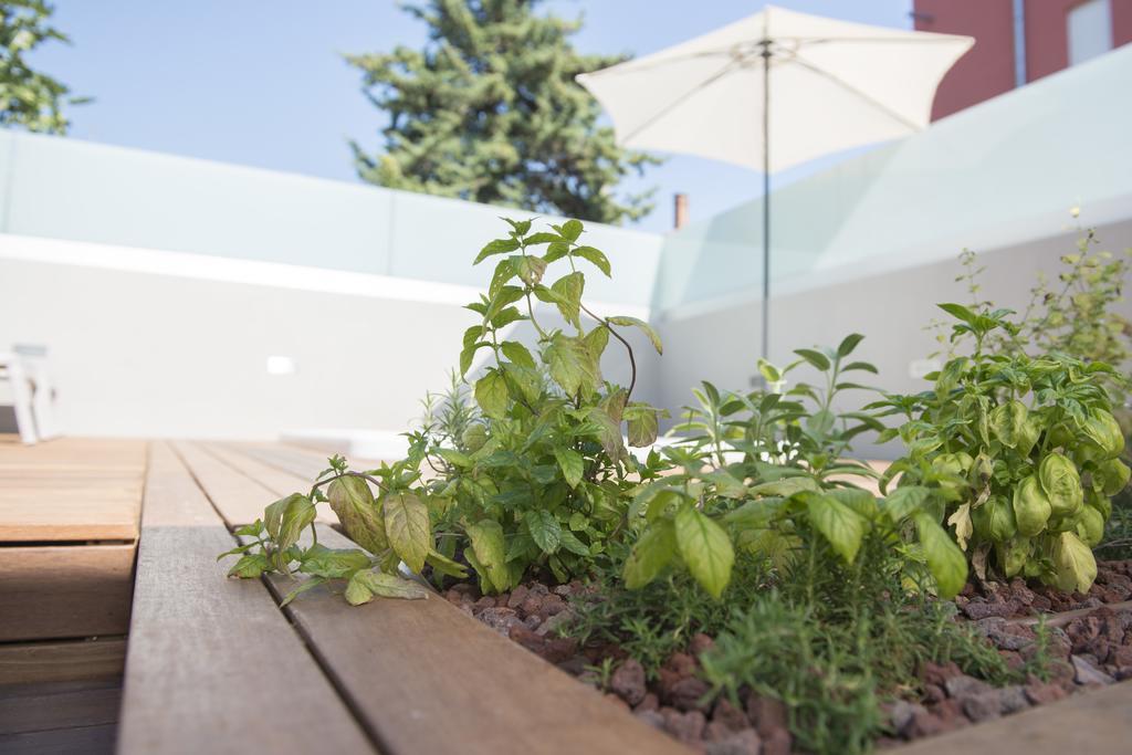 Villa Danex Premium Umag Bagian luar foto